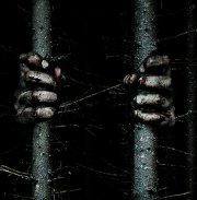 The Woods : Adam Wingard, nouveau maître de l'horreur promet du sérieux en bande-annonce