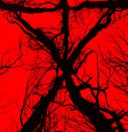 Blair Witch : affiche française, synopsis et première photo