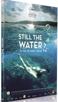 Still the water (Futatsume no mado) - le test DVD