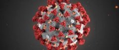 Coronavirus : posez vos questions