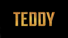 Teddy - Benoit Durand, Brice Baubit et Laurent Lefebvre - critique