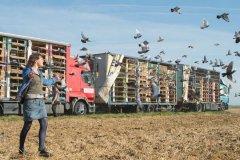 Henri : Yolande Moreau clôturera la Quinzaine des Réalisateurs