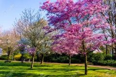 Concours de poésie - Nature & Découvertes