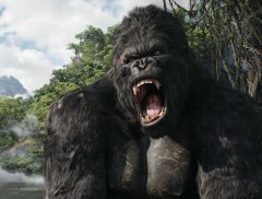 Quand le scénariste de Flight rencontre King Kong