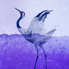 La Grue du japon de Fabrice Melquiot : quand Charlotte Rampling est à la lecture