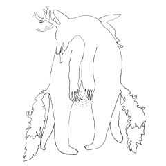 Les découvertes aVoir-aLire : Mr Loup, rencontre virtuelle avec Morphée 