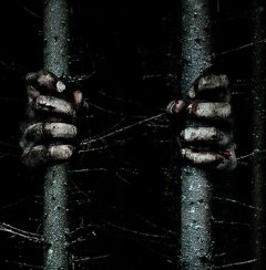 The Woods : Adam Wingard, nouveau maître de l'horreur promet du sérieux en bande-annonce