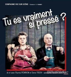 Tu es vraiment si pressé ? - Compagnie " Vue Sur Scène " - critique