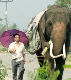 Pop Aye : bande-annonce