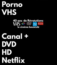 Les Dossiers de l'été : la Révolution Netflix, 40 ans d'évolution cinématographique