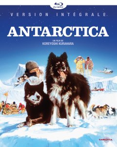 Antarctica - la critique du film + test blu-ray