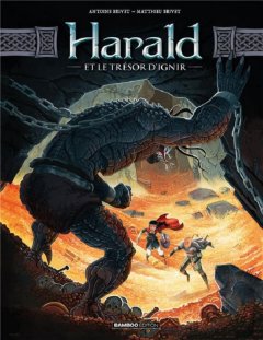 Harald et le trésor d'Ignir T2 – La chronique BD