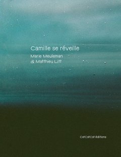 Camille se réveille – Marie Meuleman et Matthieu Litt - la chronique BD