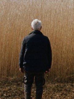 Reedland - Sven Bresser - critique