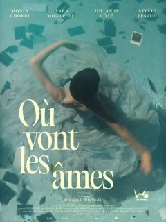 Où vont les âmes ? - Brigitte Poupart - critique