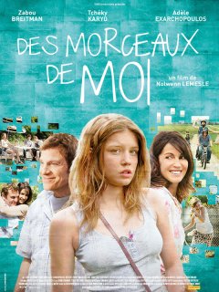 Des morceaux de moi - la critique