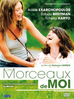 Des morceaux de moi - le test DVD