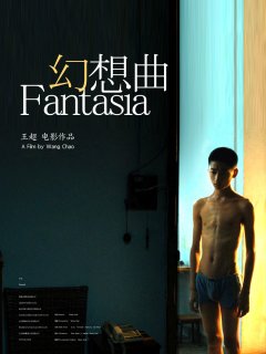 Fantasia - la critique du film