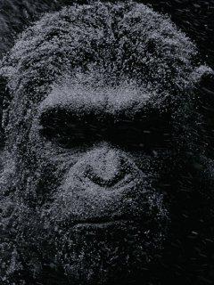 La Planète des singes - Suprématie : un trailer et de belles promesses