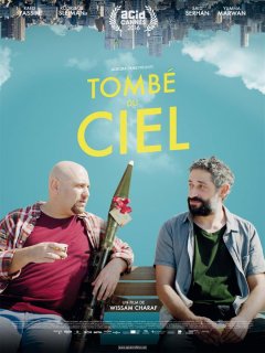 Tombé du ciel - la critique du film