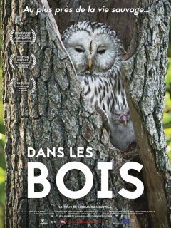 Dans les bois - Mindaugas Survila - critique