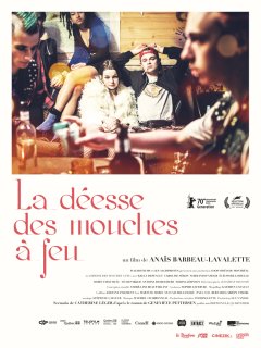 La déesse des mouches à feu - Anaïs Barbeau-Lavalette - critique