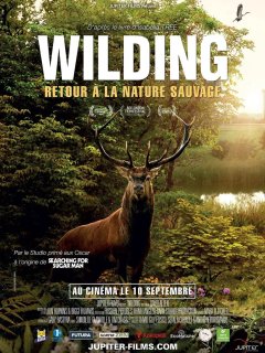 Wilding : Retour à la nature sauvage - David Allen - critique
