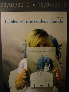 Quand Julie Maroh s'explique sur son blog BD, c'est masterclass !