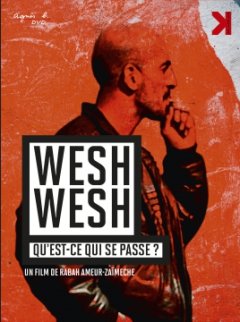 Wesh wesh, qu'est ce qui se passe ? - la critique du film + le test DVD