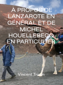 A propos de Lanzarote en général et de Michel Houellebecq en particulier - Vincent Tricon - critique du court métrage