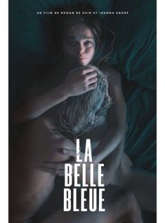 La Belle bleue - Ronan de Suin - critique