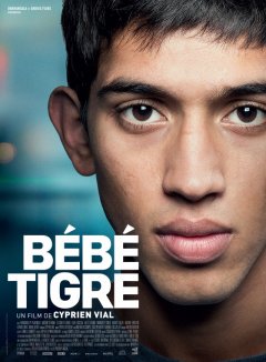 Bébé Tigre - la critique du film