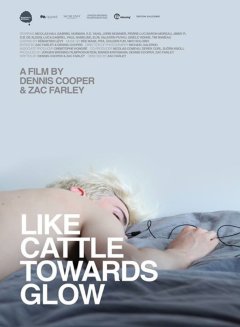 Like Cattle Towards Glow - La critique du film