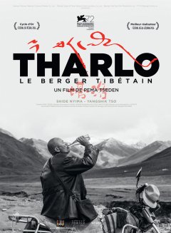Tharlo, le berger tibétain - Pema Tseden - critique
