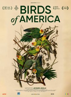 Birds of America - Jacques Lœuille - critique 