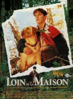 Loin de la Maison : quand Jesse Bradford adoptait un chien