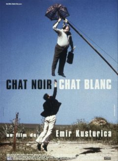 Chat noir, chat blanc - la critique