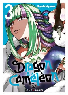 Dragon & Caméléon T.3 - Ryo Ishiyama - la chronique Manga