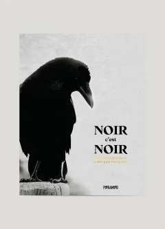 Noir, c'est noir, les corbeaux dans l'art et le folklore – Angus Hyland et Caroline Roberts - chronique livre