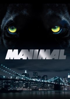 Manimal, l'intégrale en coffret DVD en octobre