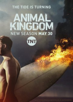 Animal Kingdom saison 2 – la critique (sans spoiler)