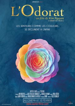 L'odorat - la critique du film