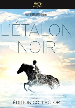 L'étalon noir - la critique du film et le test blu-ray