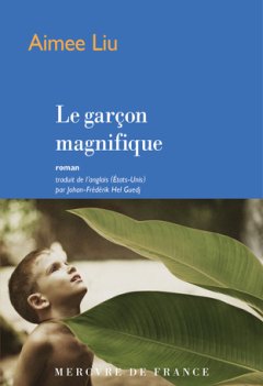 Le garçon magnifique - Aimee Liu - critique du livre