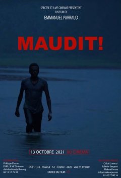 Maudit ! - Emmanuel Parraud - critique 