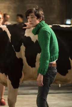 Box-office France : Jennifer Lawrence crée la surprise, Gaston Lagaffe attaque la falaise