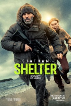 Shelter - Ric Roman Waugh - critique