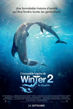 L'incroyable histoire de Winter le dauphin 2 - la critique