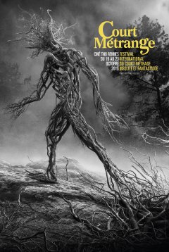 Court Métrange 13ème édition : Les résultats