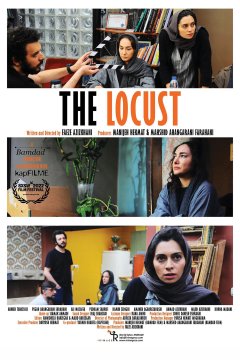 The Locust - Faezeh Azizkahni - critique